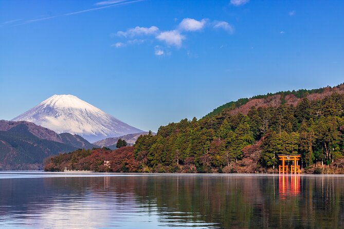 Mt. Fuji and Hakone Day Trip From Tokyo with Bullet Train Option - Long day reality check: timing pressure and bus time