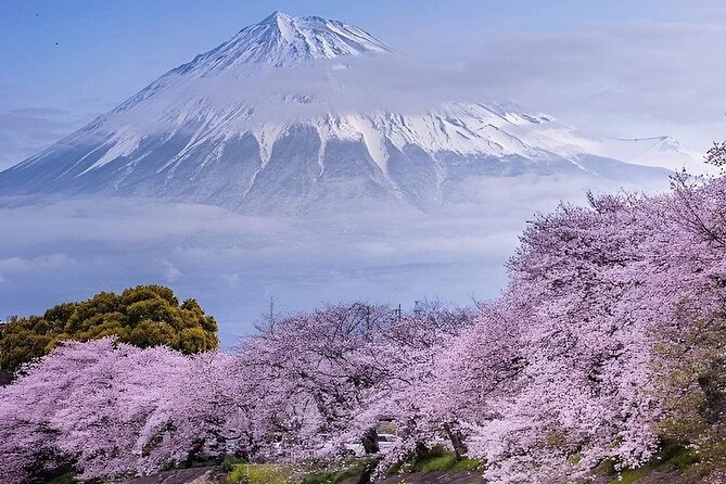 Mt. Fuji and Hakone Private Tour with English Speaking Driver - Key Things to Know Before You Go