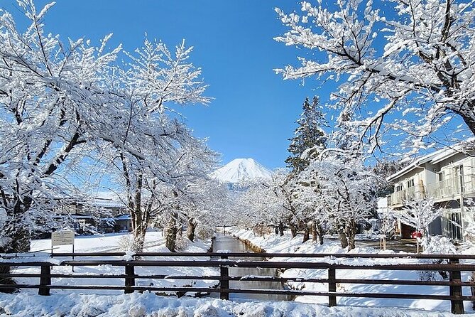 Mt. Fuji and Hakone Private Tour with English Speaking Driver - A Private Fuji Day That Makes Tokyo Easier
