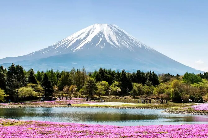 Mt. Fuji and Hakone Private Tour with English Speaking Driver - Lake Kawaguchiko Views, Plus the Ropeway Area Vibe