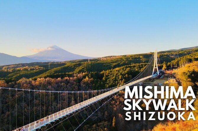 Mt. Fuji and Hakone Private Tour with English Speaking Guide - Lake Ashinoko cruise: pirate-ship fun plus the classic torii view