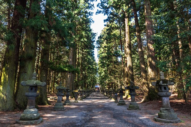 Mt.Fuji and Hakone Tour - Price and value: what you pay for, and what to budget for on top