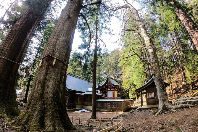Mt Fuji Area Private Guided Tours in English-Nature up close, quiet, personal - Sea of Trees at Yacho no Mori Koen, lava rock walking