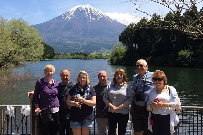 Mt.Fuji area Tour from Shimizu Port / Van Taxi - Why a Shimizu Port to Fujinomiya Day Works So Well