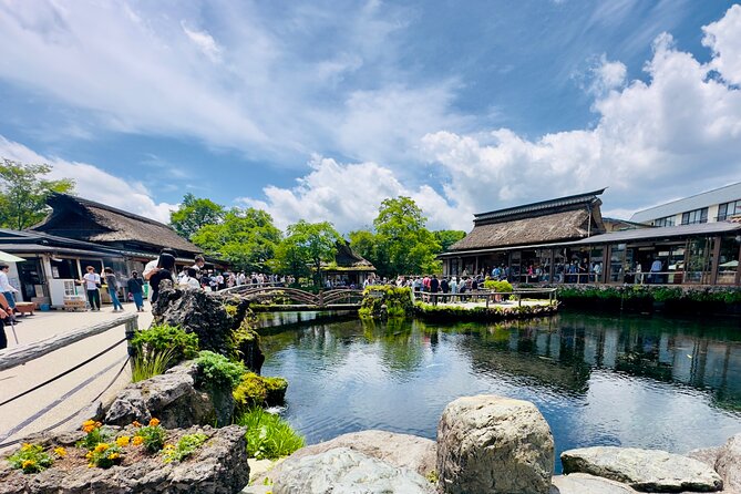 Mt. Fuji, Cherry Blossom & Shiba Sakura Pvt. Day Tour - Stop 6: Oishi Park, seasonal flowers, and the Fuji view again