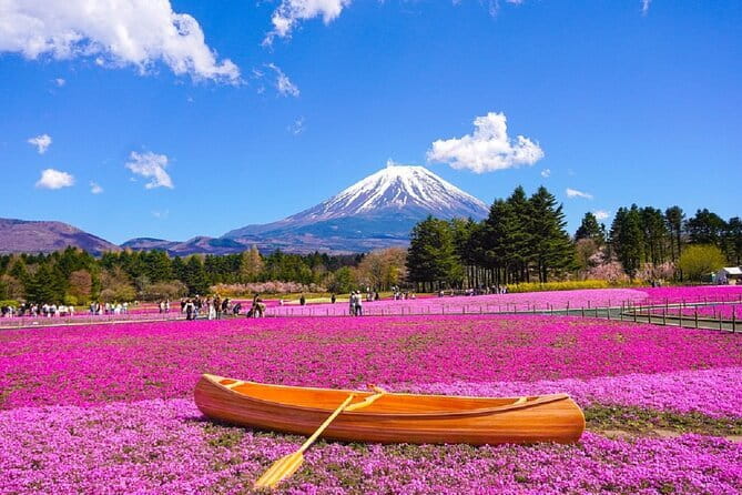 Mt. Fuji Day tour: Kawaguchi Lake Ropeway, Matcha, Oshino Hakkai - Why This Fuji Day Tour Works Without a Rental Car