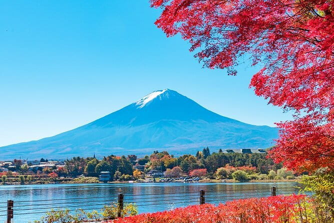 Mt. Fuji Day tour: Kawaguchi Lake Ropeway, Matcha, Oshino Hakkai - Price and Value: What $66 Buys You