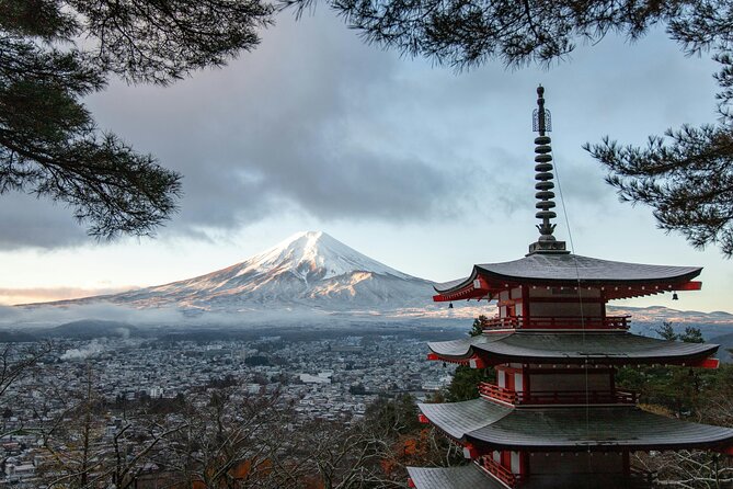 Mt FUJI Day Tour with Private Car and English Speaking Guide - Key points you’ll care about