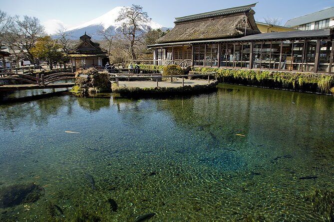 Mt FUJI Day Tour with Private Car and English Speaking Guide - Tokyo to Fuji, without the travel headache