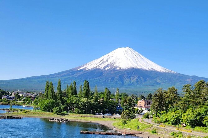Mt FUJI Day Tour with Private Car and English Speaking Guide - Chureito Pagoda and Arakura Sengen Shrine: the classic Fuji moment