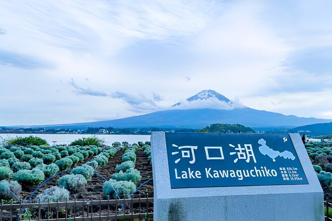 Mt FUJI Day Tour with Private Car and English Speaking Guide - How the English guide and driver change the day