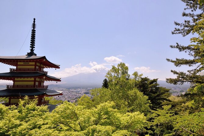 Mt Fuji Day Trip from Tokyo by Car with Photographer Guide - Why this private Fuji day trip feels easier than DIY