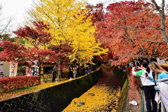 Mt Fuji Day Trip from Tokyo by Car with Photographer Guide - Stop 2: Oshino Hakkai for clear water, tasting moments, and local houses