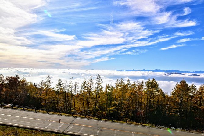Mt Fuji Day Trip from Tokyo by Car with Photographer Guide - Stop 4: Kitaguchi Hongu Fuji Sengen Jinja Shrine and the lantern path