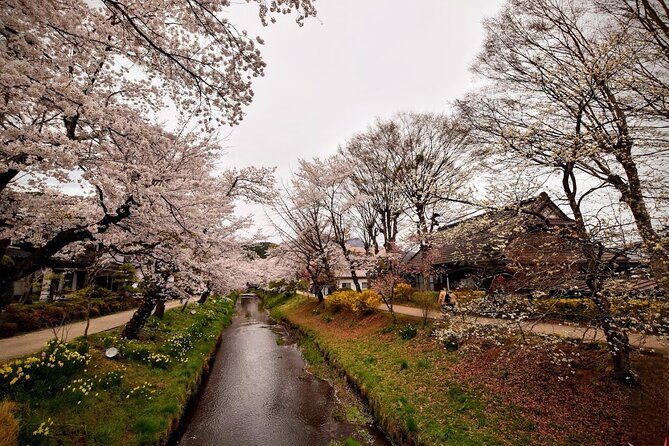Mt Fuji Day Trip from Tokyo by Car with Photographer Guide - Lunch, comfort, and weather reality