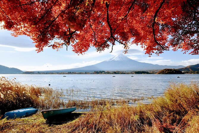 Mt Fuji Day Trip from Tokyo by Car with Photographer Guide - Price and value: what $1,150 per group buys you