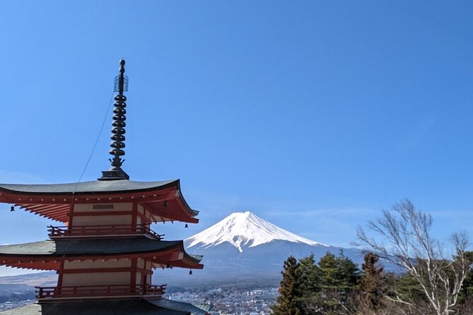 Mt. Fuji Day Trip from Tokyo with English Speaking Driver Guide - Price and what $497.43 covers for a group of up to 7