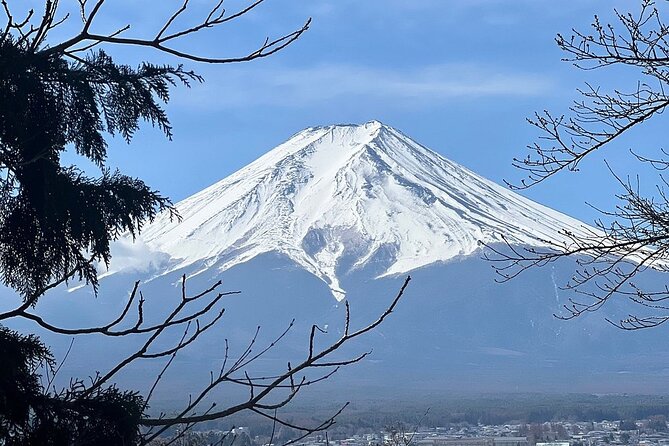 Mt. Fuji Day Trip from Tokyo with English Speaking Driver Guide - Stop 5: Kitaguchi Hongu Fuji Sengen Jinja Shrine, Fuji worship and calm forest edges