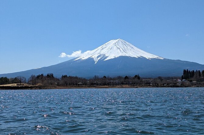 Mt. Fuji Day Trip from Tokyo with English Speaking Driver Guide - Pickup timing, drive time, and how the day actually feels