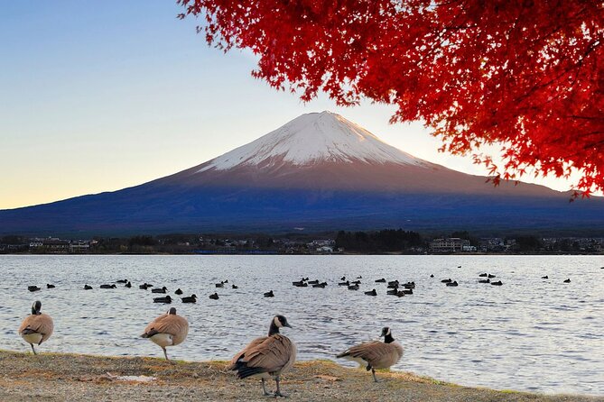 Mt Fuji Exclusive Tour with Private Car English Guide - Oshino Hakkai and Oishi Park: spring water + Fuji views without the rush