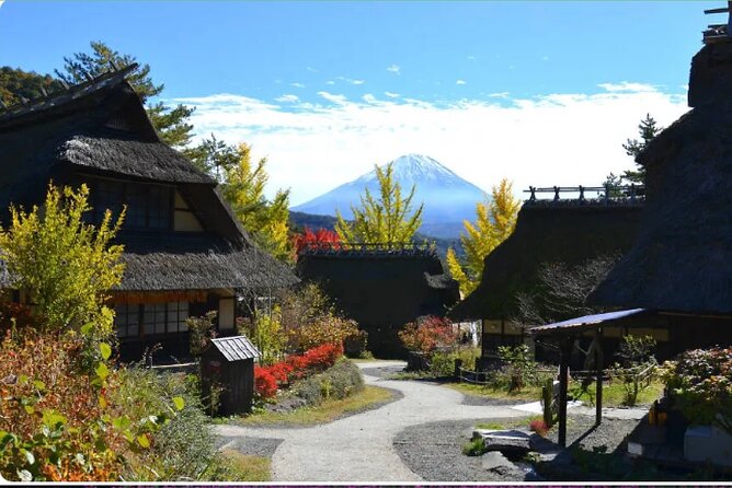 Mt Fuji Exclusive Tour with Private Car English Guide - Guide style matters: from Amir and Ali to Ishi and Zubi