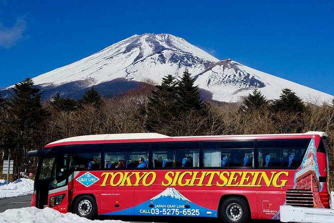 Mt. Fuji & Hakone Bus Tour Bullet Train Return & 28-Hotel Pick-up - Key Things to Know Before You Go
