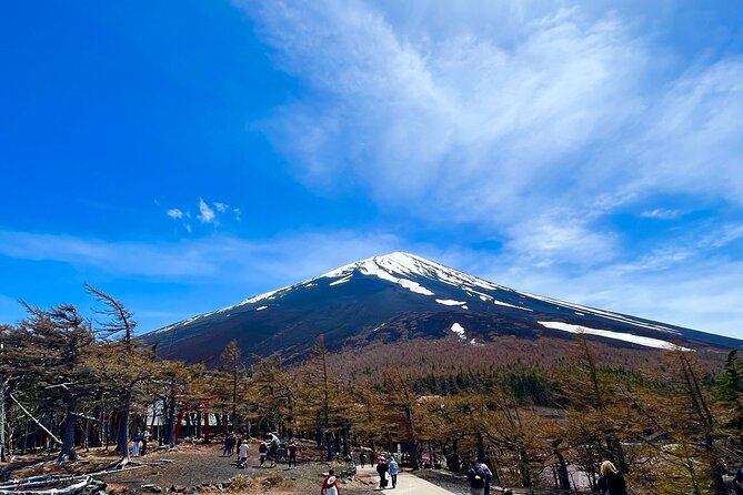 Mt. Fuji & Hakone Bus Tour Bullet Train Return & 28-Hotel Pick-up - Why This Mt. Fuji and Hakone Day Tour Works When You Are Short on Time