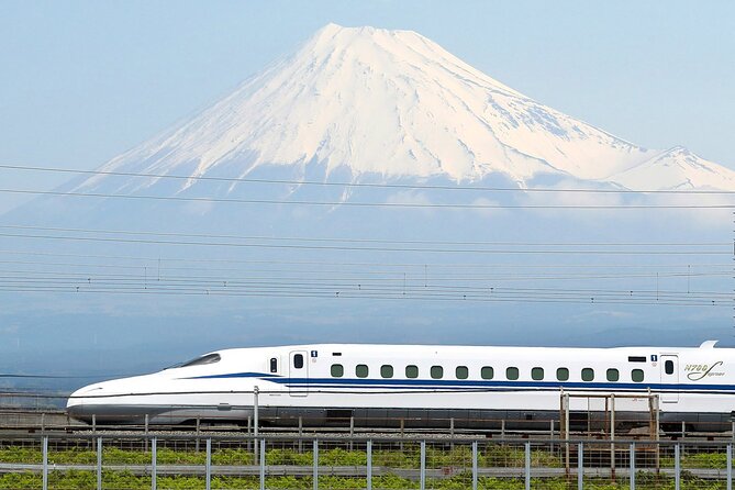 Mt. Fuji & Hakone Bus Tour Bullet Train Return & 28-Hotel Pick-up - Mt. Fuji 5th Station: Your Best Shot at the Icon