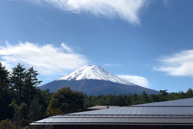 Mt. Fuji & Hakone Bus Tour Bullet Train Return & 28-Hotel Pick-up - Pickup, Timing, and the Real Meaning of a 10-Hour Day