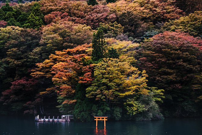 Mt Fuji & Hakone Cruise, Drum Show Bullet Train 1 Day from Tokyo - Riding the Shinkansen back: fast and efficient, but plan for non-reserved cars