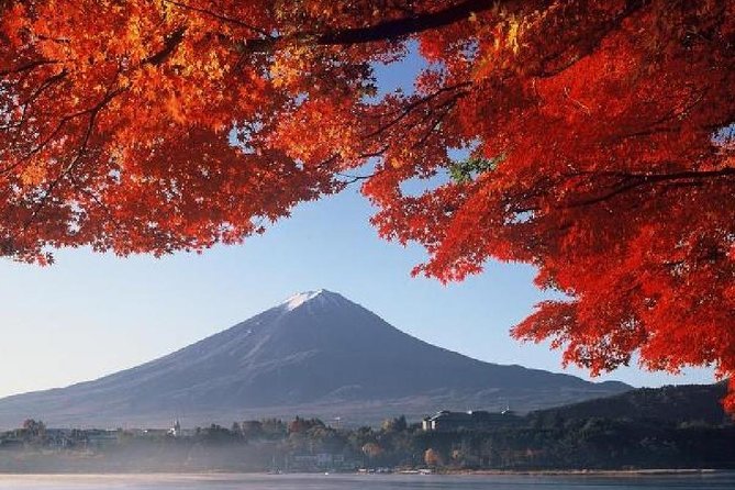 Mt Fuji & Hakone Cruise, Drum Show Bus 1 Day from Tokyo - Hakone Komagatake Ropeway: the payoff for pushing higher