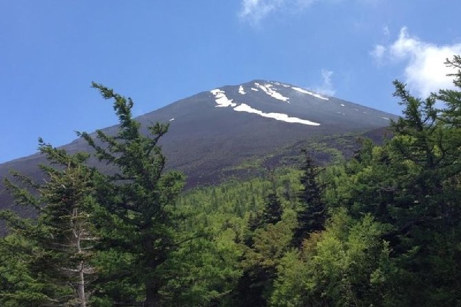 Mt Fuji & Hakone Cruise, Drum Show Bus 1 Day from Tokyo - Price and value at about $122.55 per person