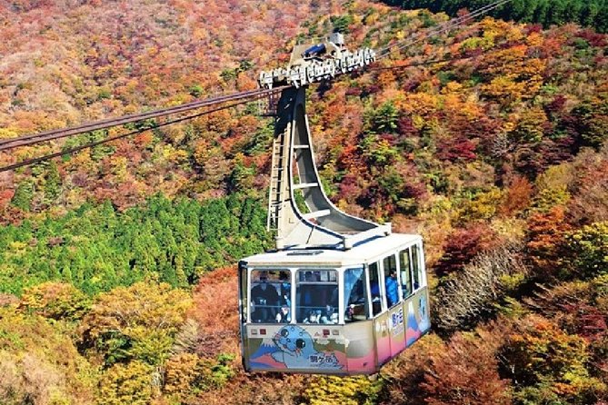 Mt Fuji & Hakone Cruise, Drum Show Bus 1 Day from Tokyo - Practical tips you will thank yourself for