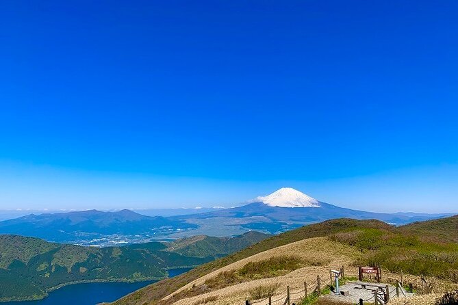 Mt Fuji & Hakone Cruise, Drum Show Bus 1 Day from Tokyo Sta. Area - Lake Ashi Cruise on the Sorakaze: Views You Can Actually Relax With