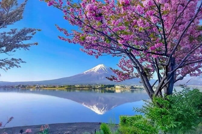 Mt fuji & Hakone customizable day tour w/ English speaking driver - Key things that make this tour worth your time