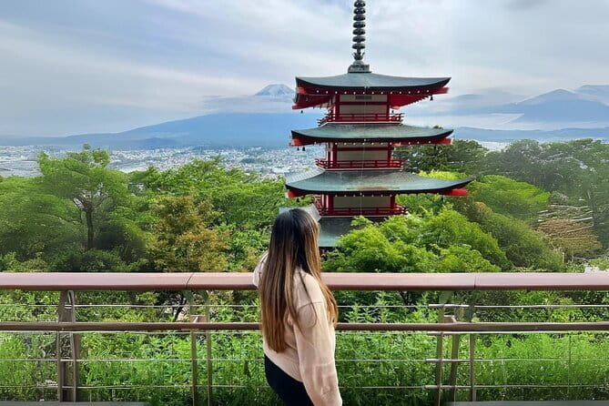 Mt fuji & Hakone customizable day tour w/ English speaking driver - A private Fuji and Hakone day, planned for real life