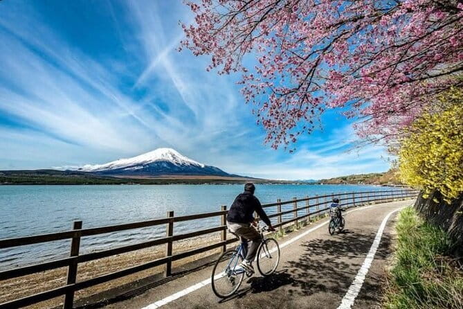 Mt fuji & Hakone customizable day tour w/ English speaking driver - The 10-hour schedule, and why timing matters