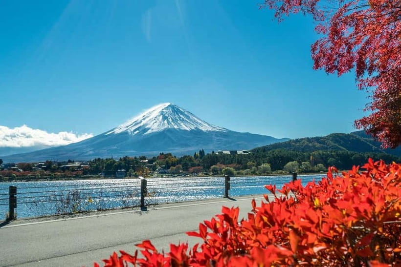 Mt.Fuji Hakone Day Tour With Lake Ashi Cruise, FREE Ropeway - Group Size, Crowds, and the Guide Factor