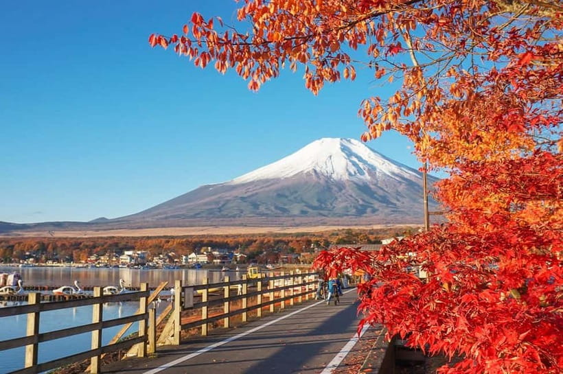Mt Fuji Hakone/Enoshima Tour:Optional Ropeway/Lake Ashi Boat - Getting from Tokyo to Hakone: accept the ride, use it well