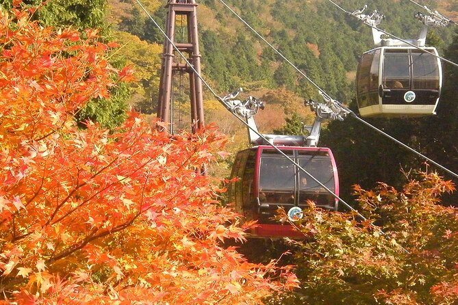 Mt. Fuji & Hakone: Fuji Sengen Shrine, Cruise, and Ramen-Making - From Shinjuku to Fuji, the easy way