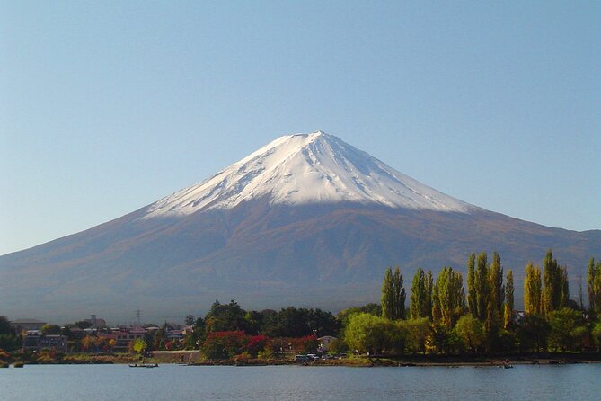 Mt. Fuji & Hakone: Fuji Sengen Shrine, Cruise, and Ramen-Making - Who this tour is perfect for, and who should skip it