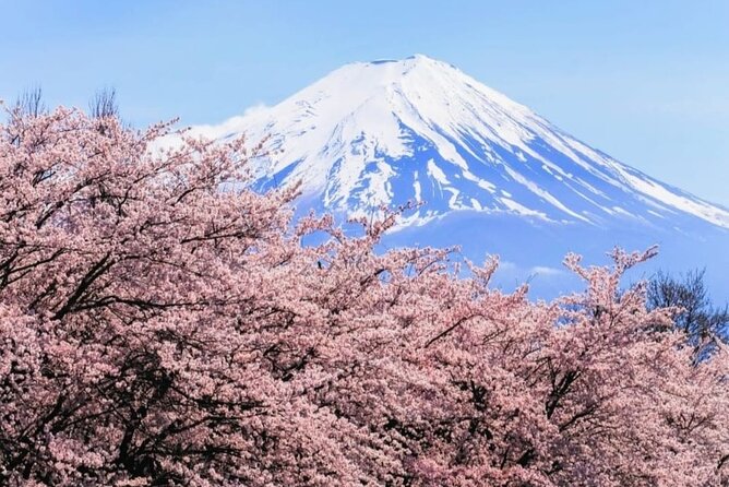 Mt. Fuji, Hakone Full-Day Private Tour with English Driver - Price and Logistics: What $399 Actually Buys