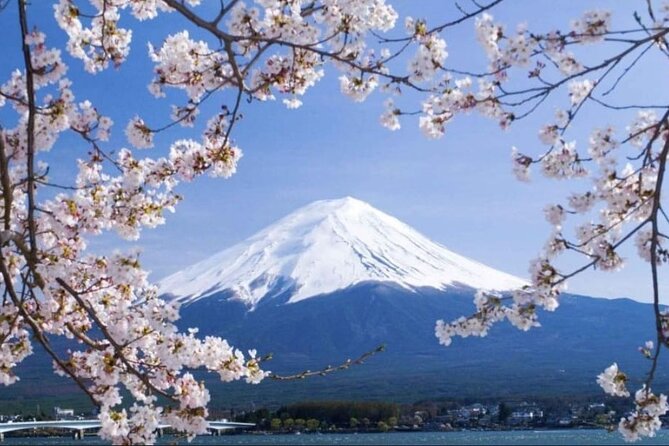 Mt. Fuji, Hakone Full-Day Private Tour with English Driver - Chureito Pagoda and the 400-Step Photo Moment