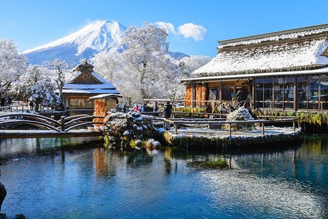Mt. Fuji, Hakone Full-Day Private Tour with English Driver Guide - Key Takeaways Before You Go