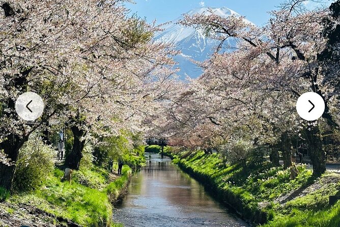 Mt. Fuji, Hakone Full-Day Private Tour with English Driver Guide - What You’re Really Paying For: a Private Fuji and Hakone Day