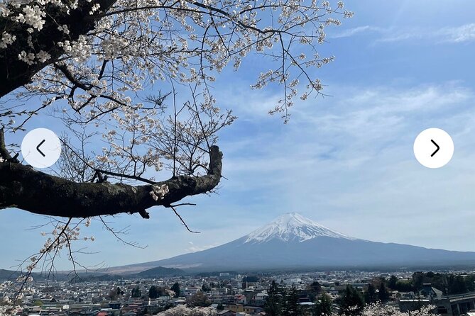 Mt. Fuji, Hakone Full-Day Private Tour with English Driver Guide - Oshino Hakkai: the Eight Ponds You Can Feel