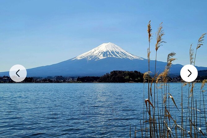 Mt. Fuji, Hakone Full-Day Private Tour with English Driver Guide - Lake Ashi and Hakone Shrine: the Torii Gate Moment