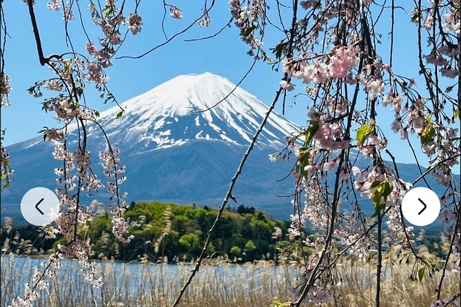 Mt. Fuji, Hakone Full-Day Private Tour with English Driver Guide - Arakurayama Sengen Park and Chureito Pagoda: Fuji in the Frame