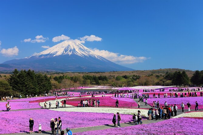 Mt. Fuji, Hakone Full-Day Private Tour with English Driver Guide - Tokyo Pickup and the Pace of a 10-Hour Day