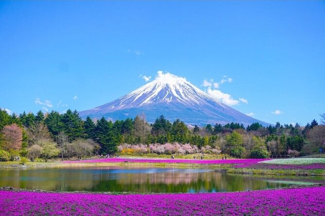 Mt. Fuji, Hakone Full-Day Private Tour with English Driver - Mount Fuji 5th Station: Photos at 2,300 Meters
